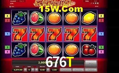 Sistemas de Segurança 676T